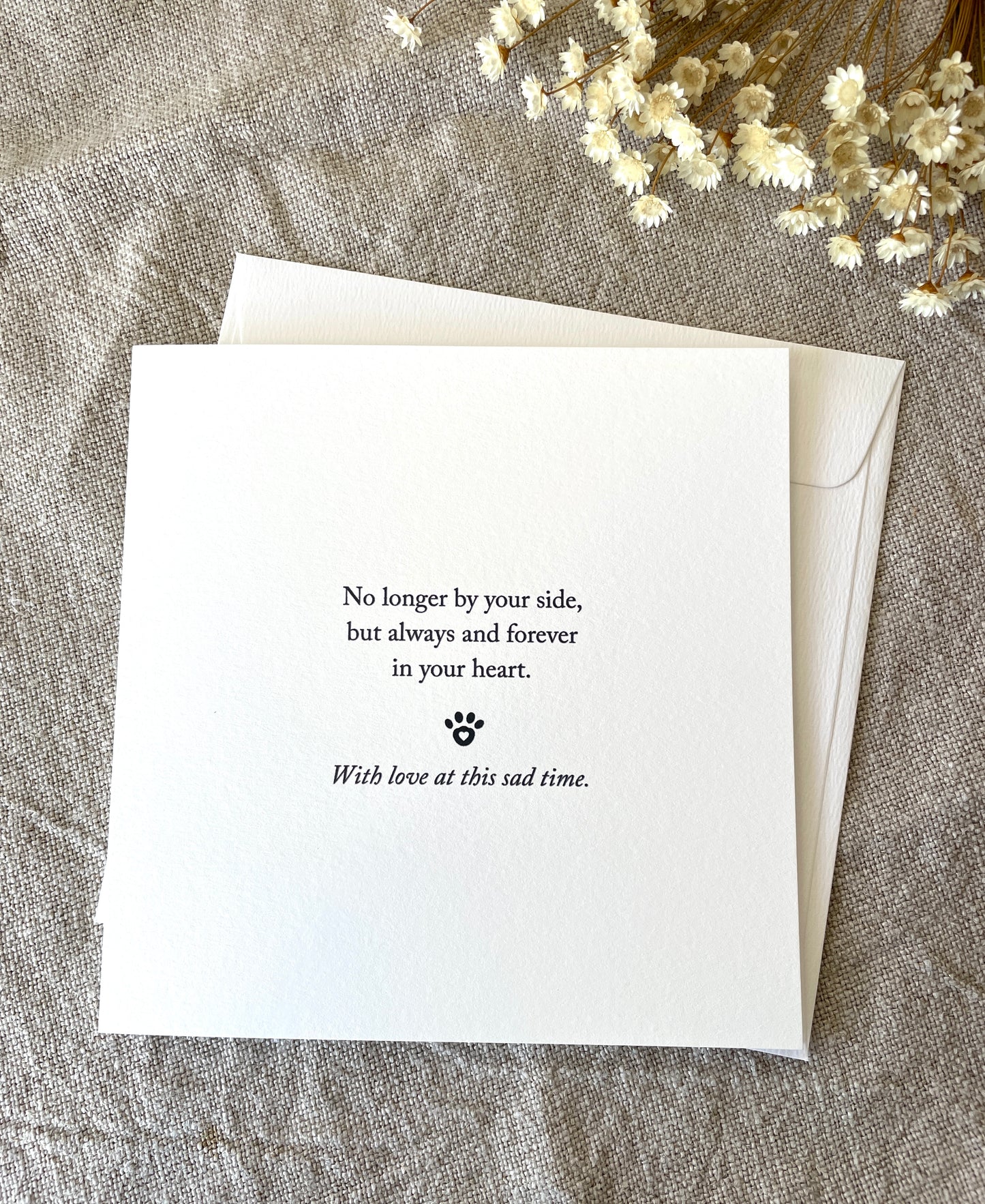 Sympathy Pet, Card