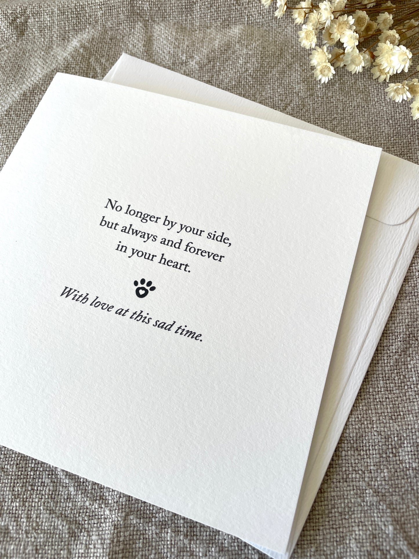 Sympathy Pet, Card
