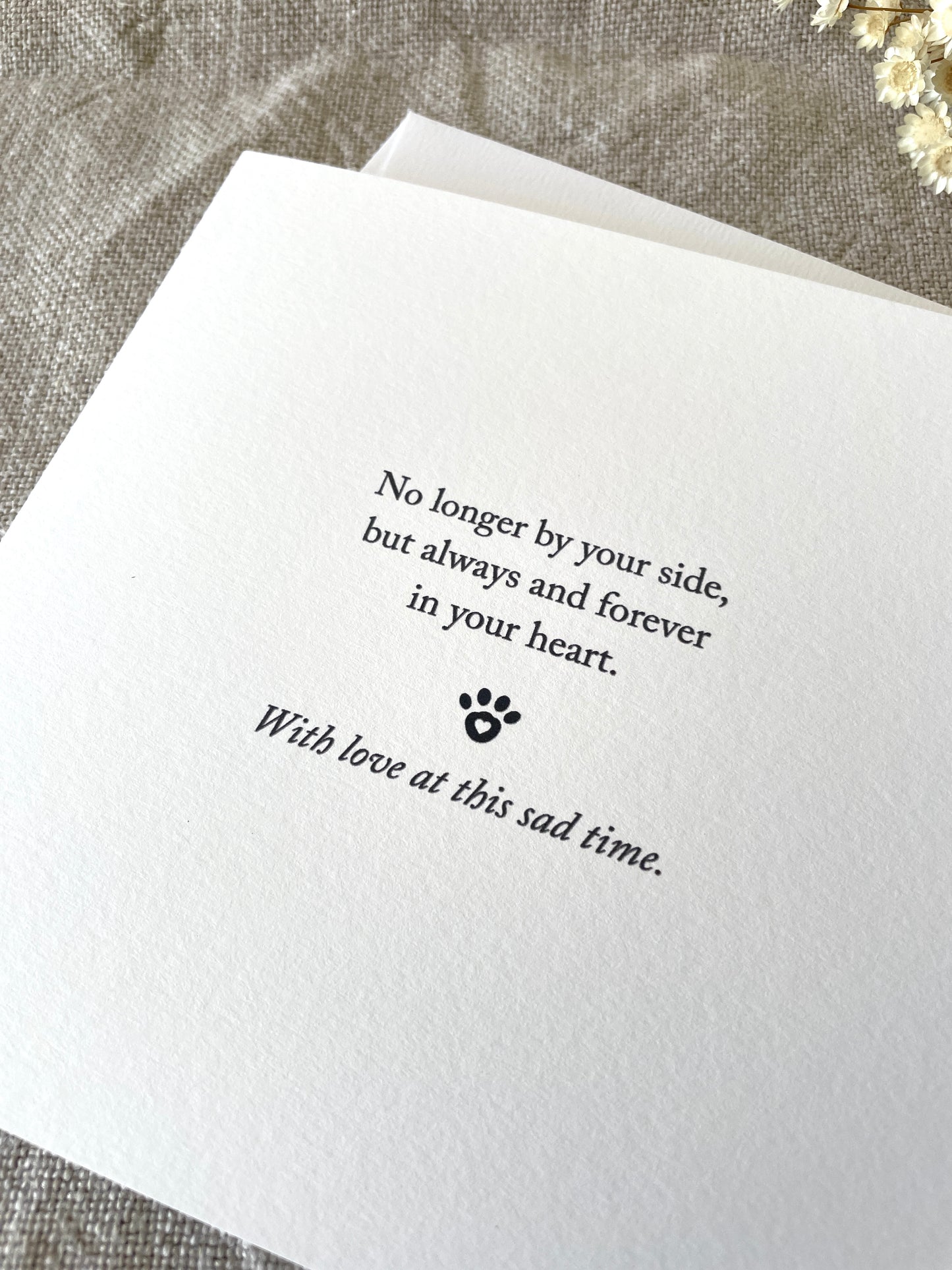 Sympathy Pet, Card