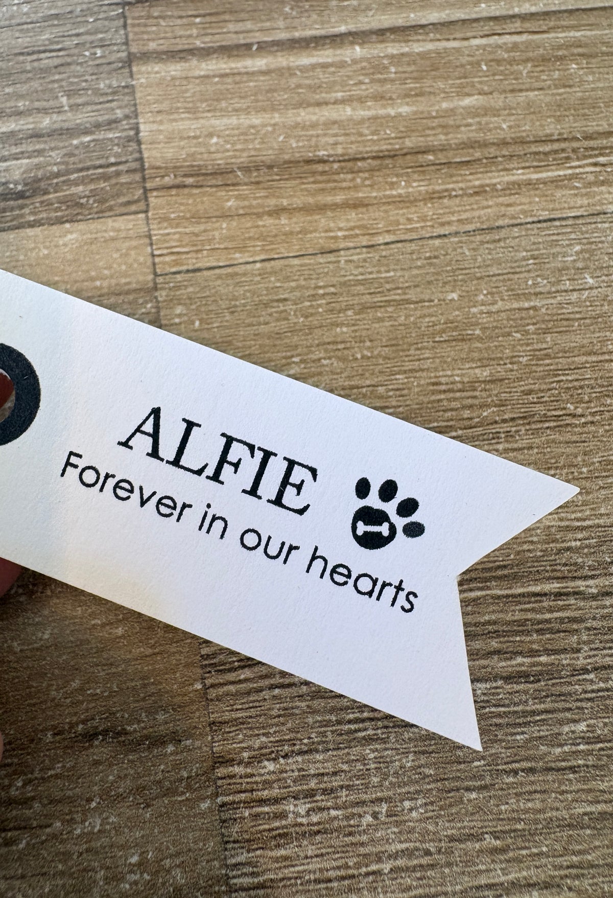 Dog & Cat with any name - Forever in our hearts. Christmas Tree Decoration
