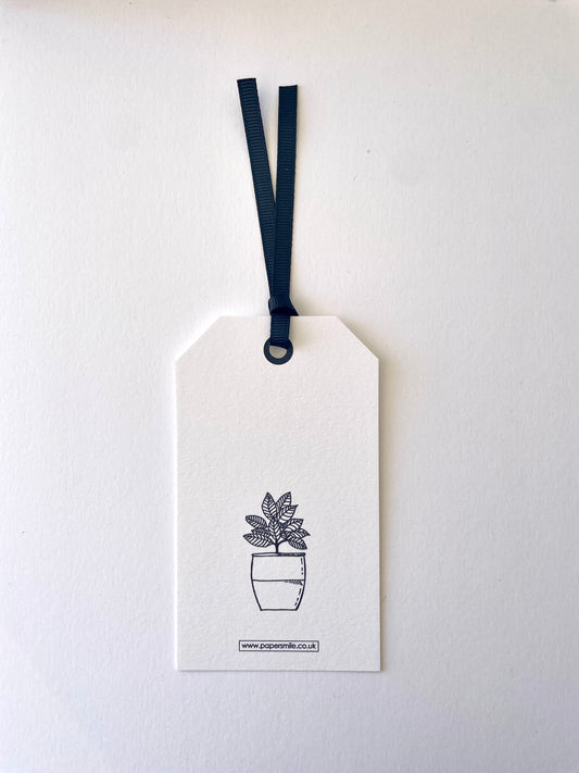 2 Pack, Plant Pot Gift Tag