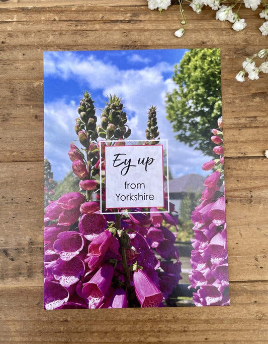 Foxy Fuchsia Yorkshire Postcard image 0